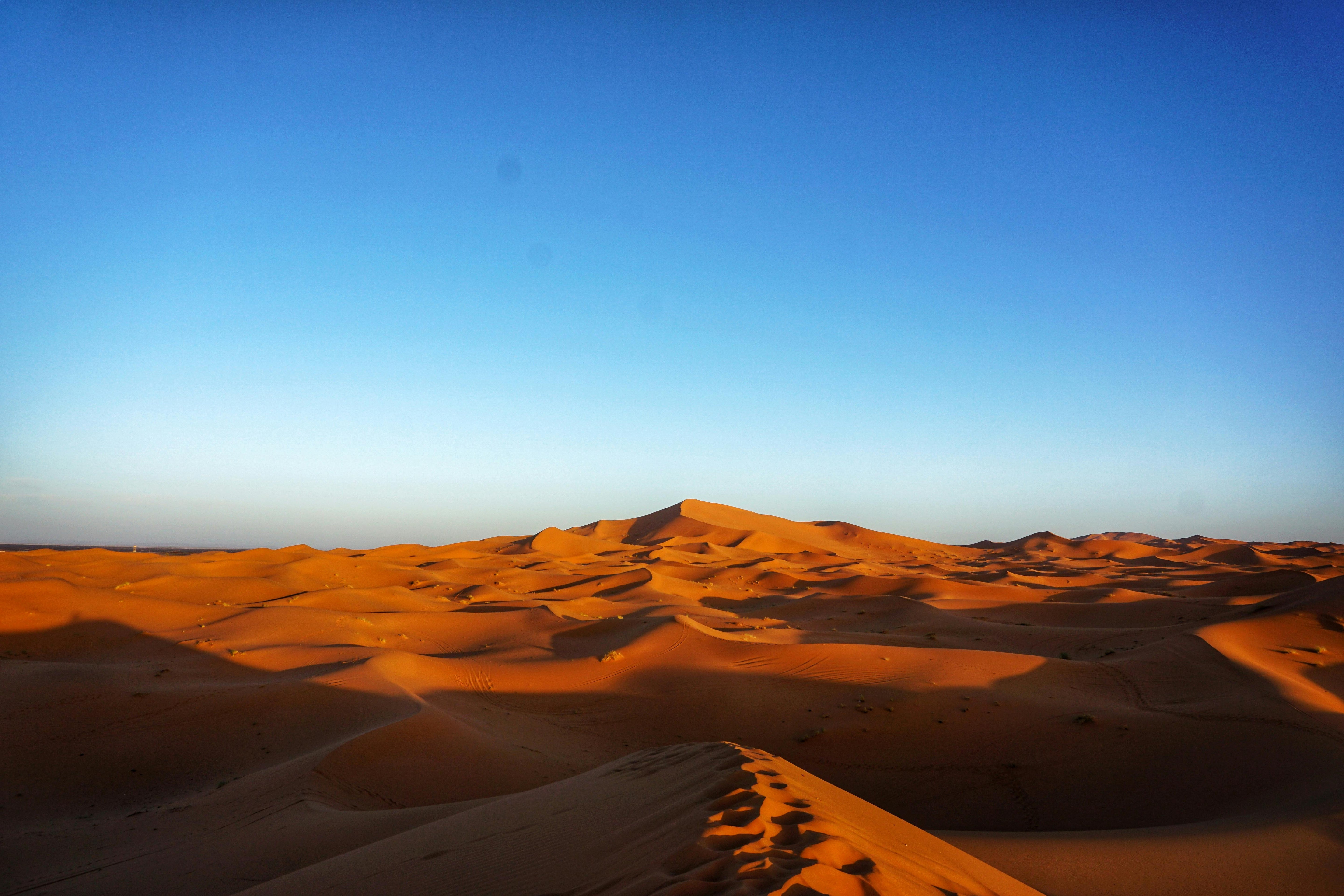Desert landscape with sand dunes under a clear blue sky