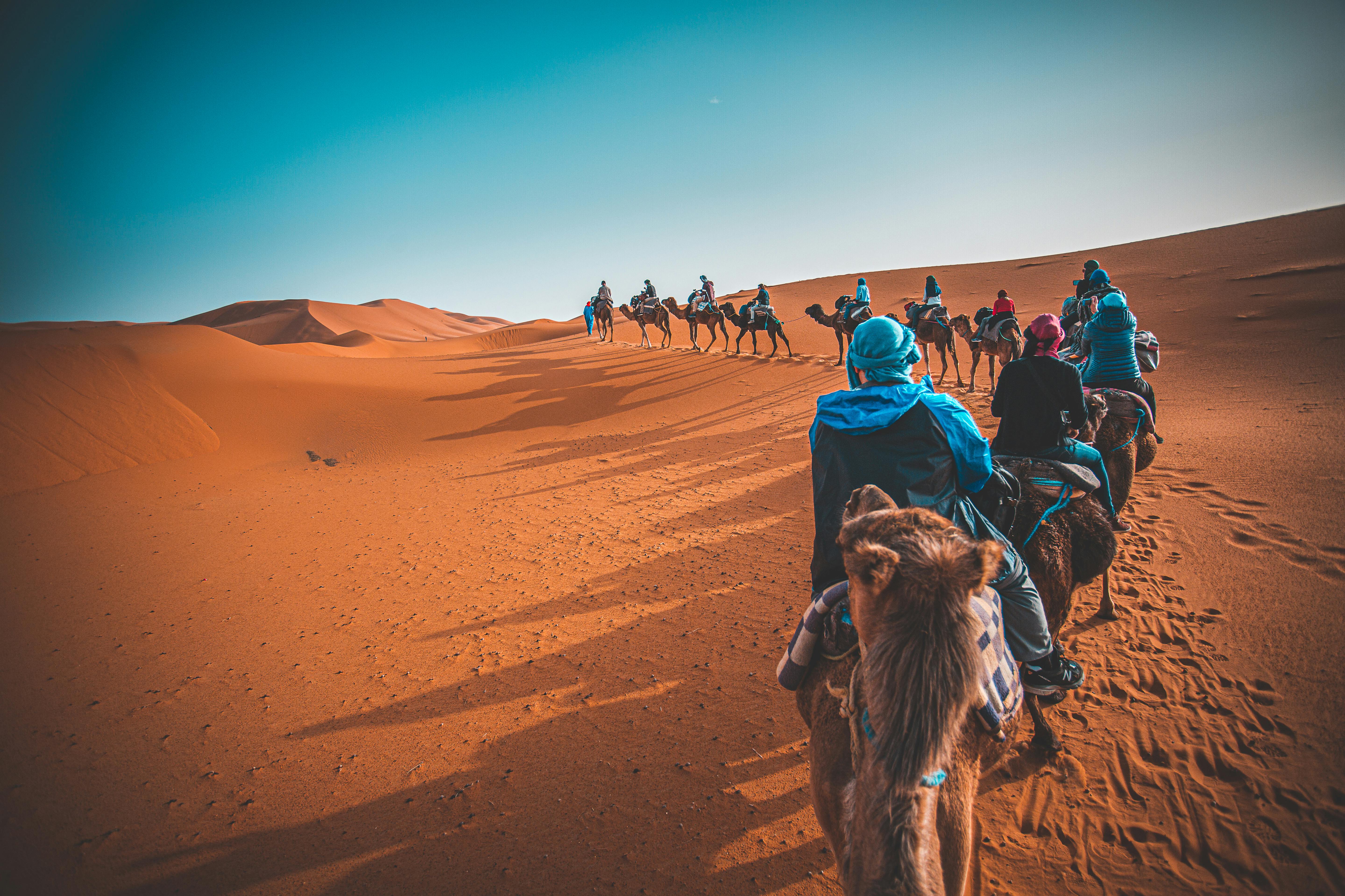 Camel caravan in the desert with people on a clear day
